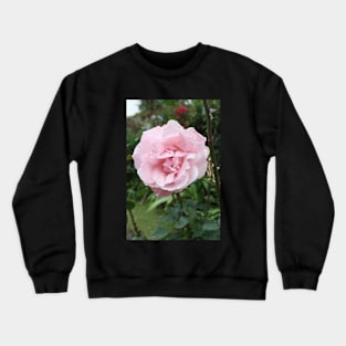 Rose photo Crewneck Sweatshirt